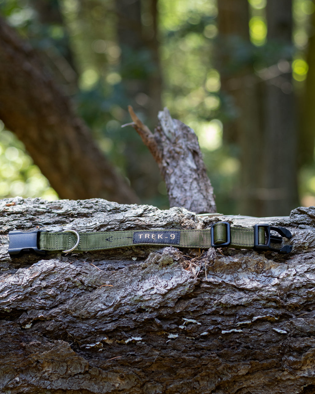 Green adventure dog collar, with high quality hardware, quick side-release clip, nickel plated d ring, made from high-tensile nylon webbing. 