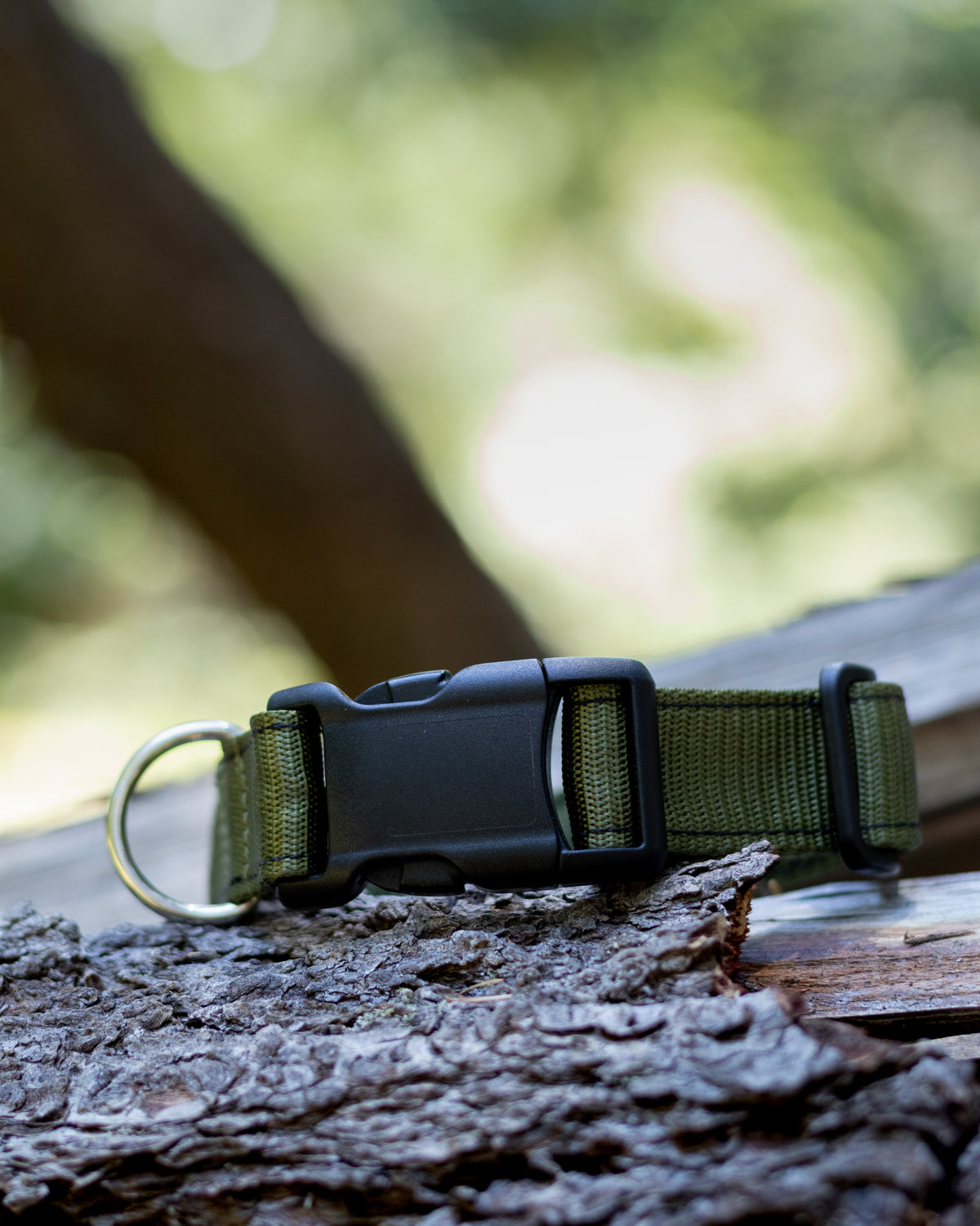 Green adventure dog collar, with high quality hardware, quick side-release clip, nickel plated d ring, made from high-tensile nylon webbing. 