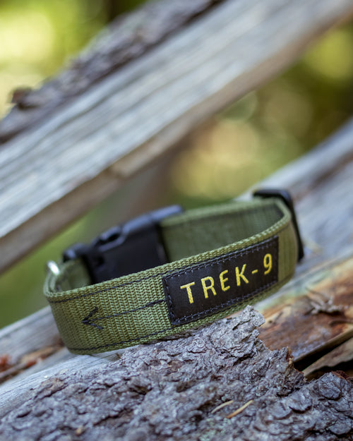 Green adventure dog collar, with high quality hardware, quick side-release clip, nickel plated d ring, made from high-tensile nylon webbing. 