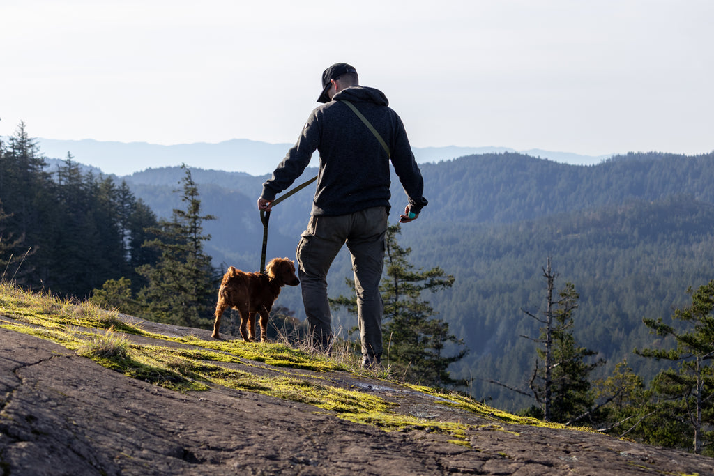 A man wearing a black hoodie and gray pants stands on a rocky mountain ridge with a brown dog on a leash, looking out over a vast forested mountain landscape under a pale sky.