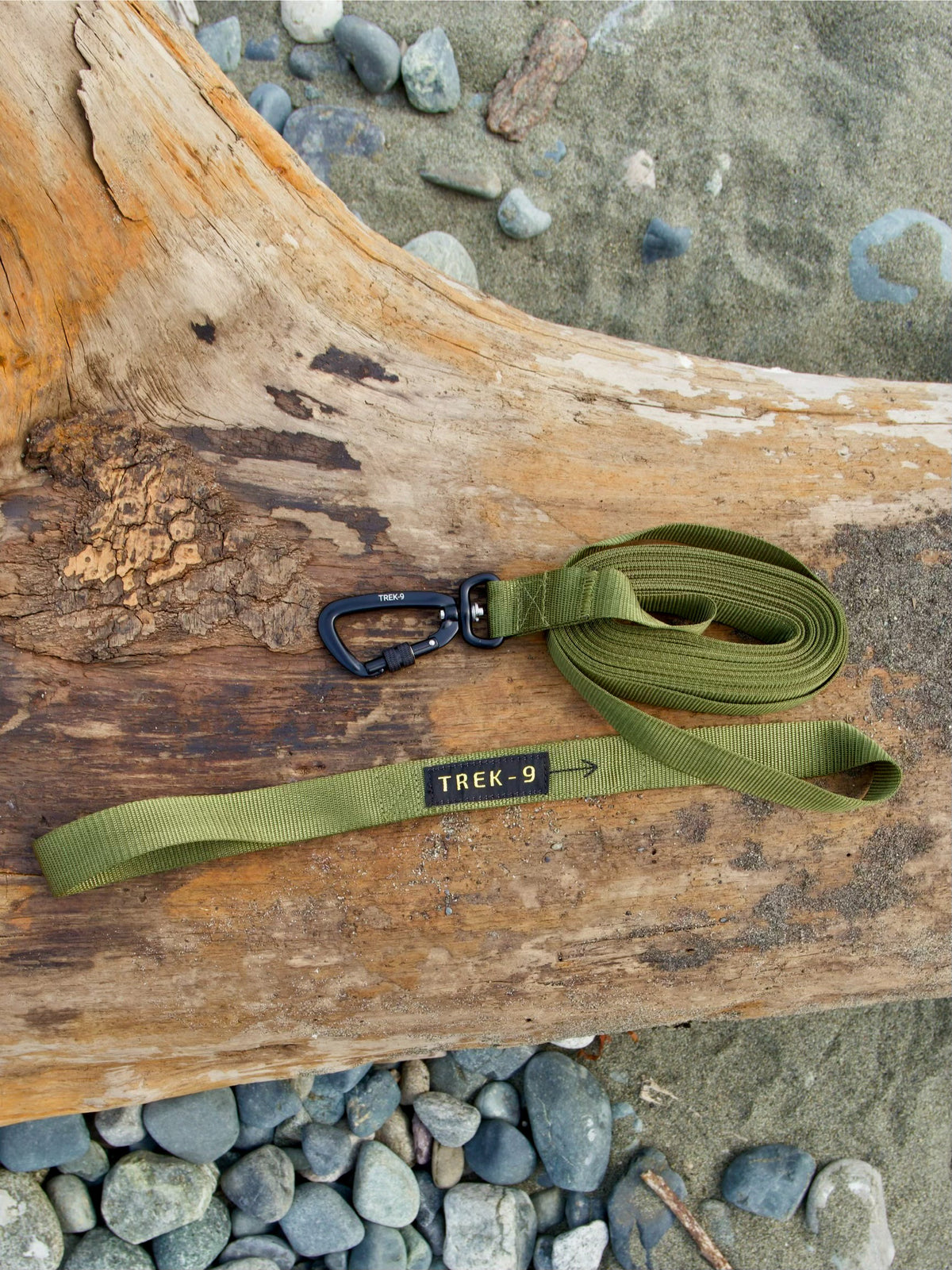 Long Line Leash – Camping & Training