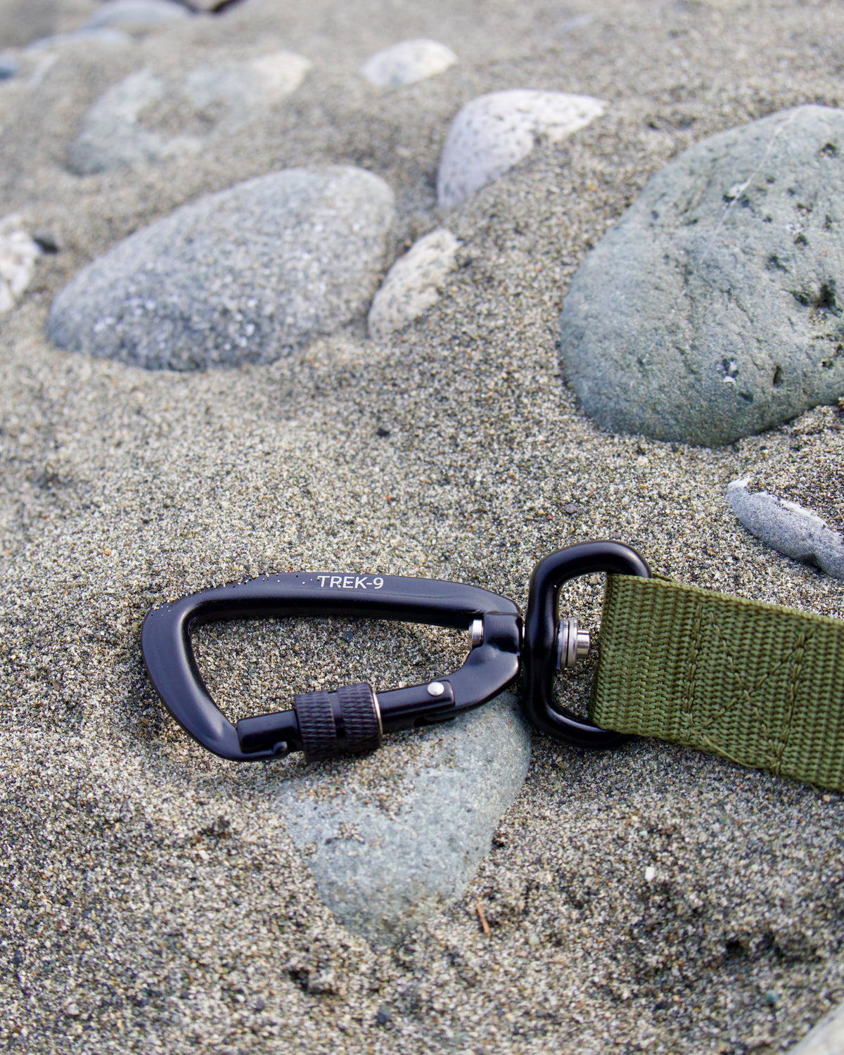 Long Line Leash – Camping & Training