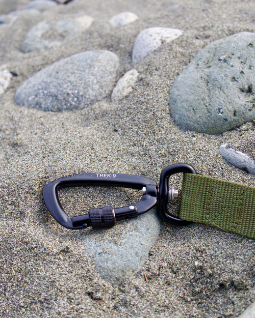 Long Line Leash – Camping & Training