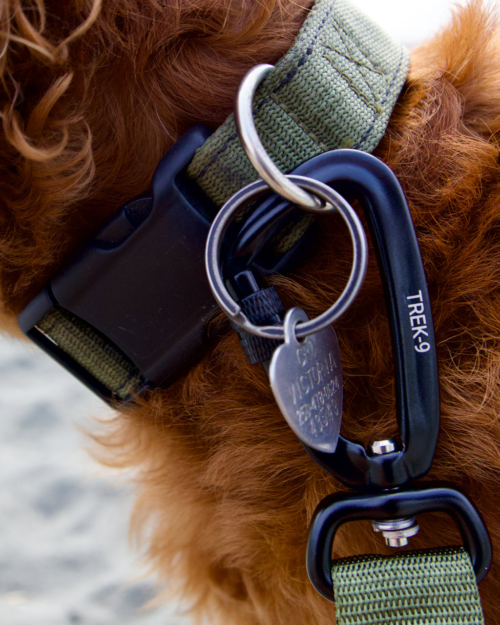 Long Line Leash – Camping & Training