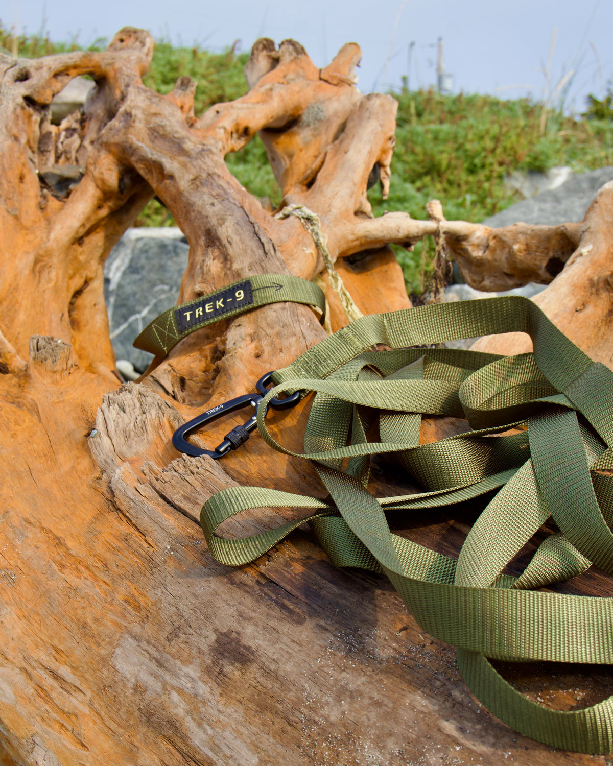 Long Line Leash – Camping & Training