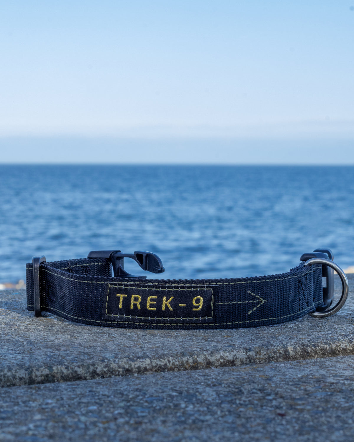 Black and green dog collar with high quality hardware, nickel d-ring, and heavy duty Nylon webbing