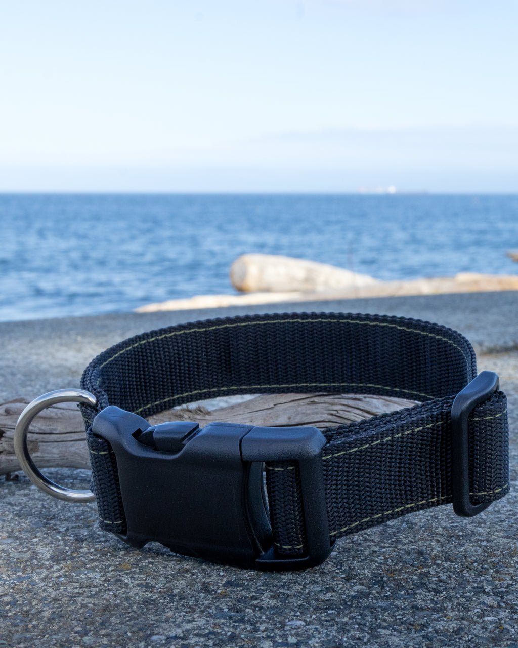 Black and green dog collar with high quality hardware, nickel d-ring, and heavy duty Nylon webbing