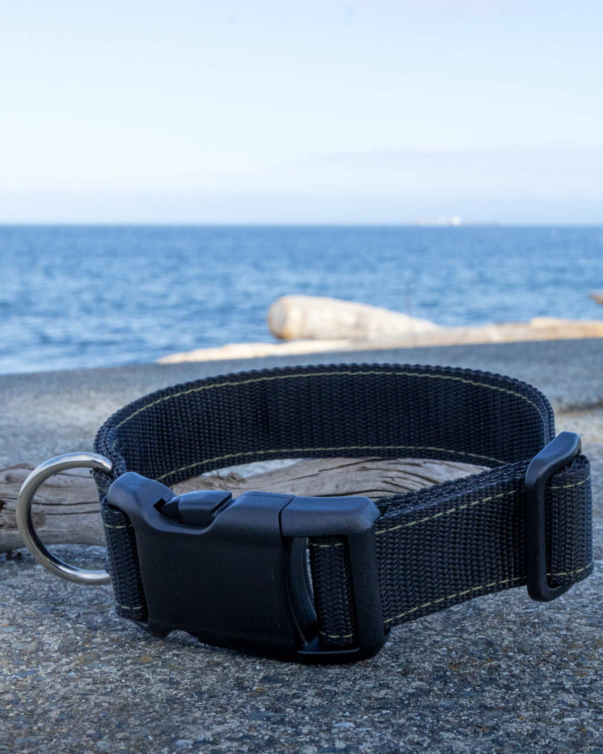 Black and green dog collar with high quality hardware, nickel d-ring, and heavy duty Nylon webbing