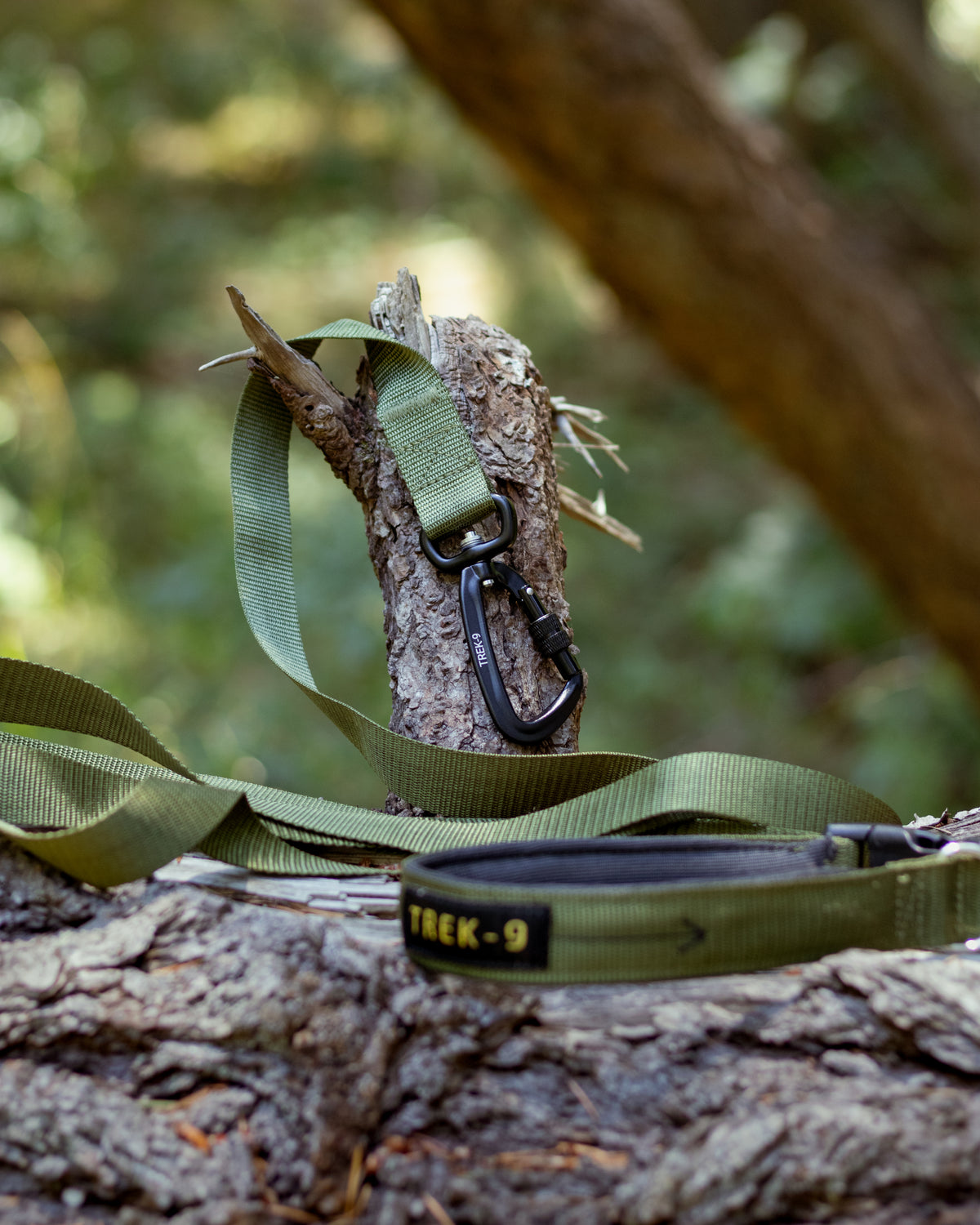 Green Adjustable and hands-free dog leash, featuring a swivel carabiner, high strength side release buckle, nickel plated d-ring, and high strength nylon webbing. 