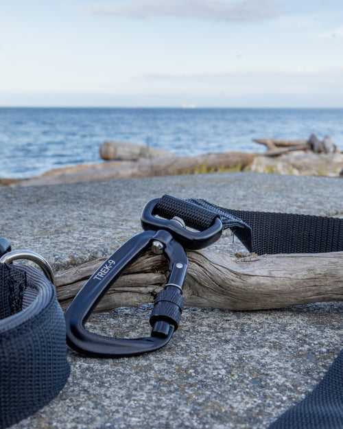 A black Trek-9 Dog leash with aluminum swivel carabiner, nickel plated d ring, air mesh padded handle, and rugged side release buckle, made from high quality nylon webbing
